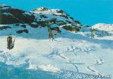 Le seggiovie e la cestovia del Monte Camino : oropa_cestovia_monte_camino_ca_1985_c_fotoedizioni_brunner_como.JPG